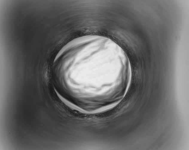 X0000095961250200802011115