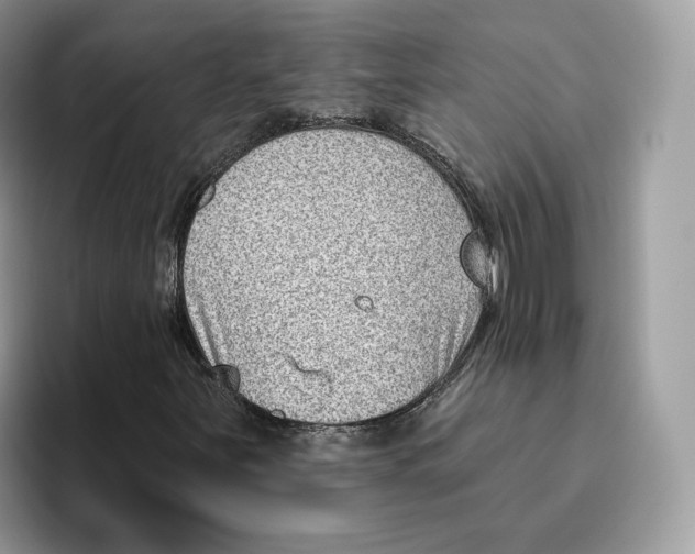 X0000095961251200802011115