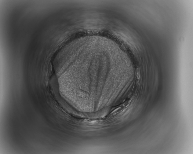 X0000095961252200802011115