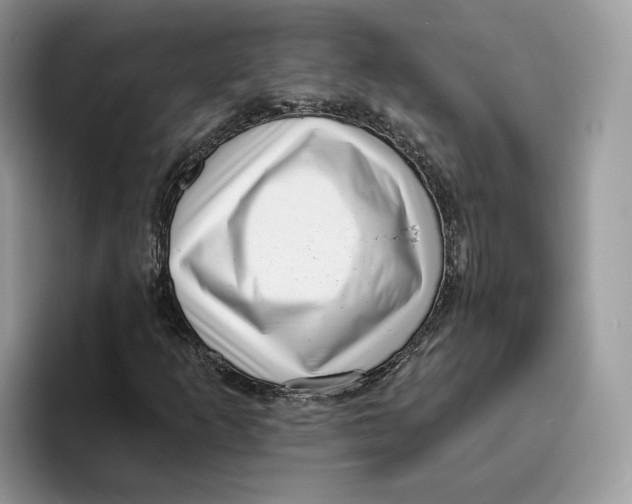 X0000095961253200802011115