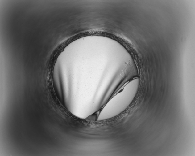 X0000095961255200802011115