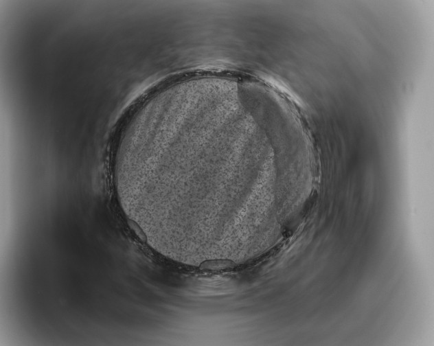 X0000095961256200802011115