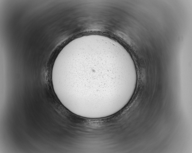 X0000095961258200802011115