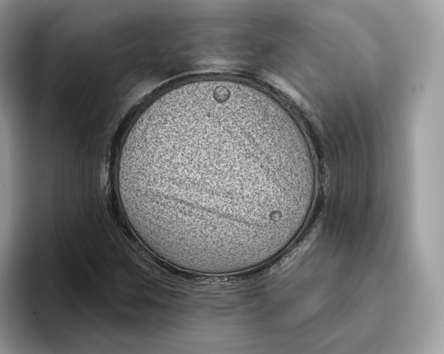 X0000095961259200802011115