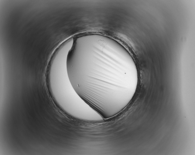 X0000095961260200802011115