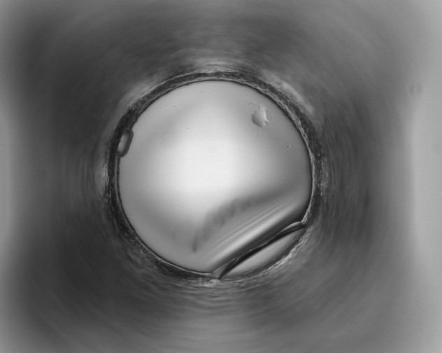 X0000095961261200802011115