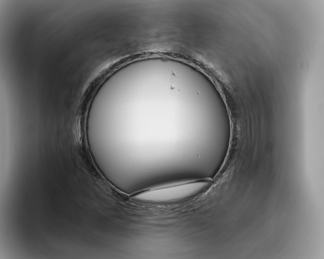 X0000095961262200802011115