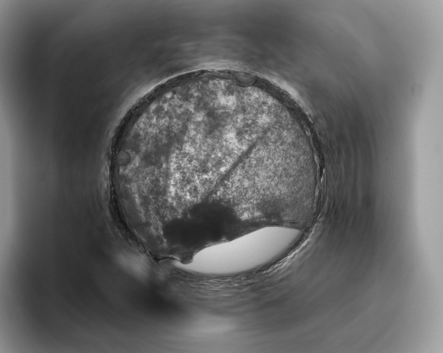 X0000095961263200802011115