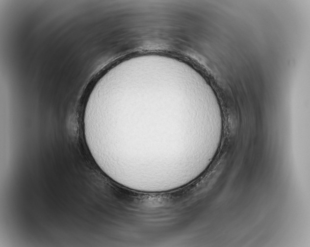 X0000095961266200802011115