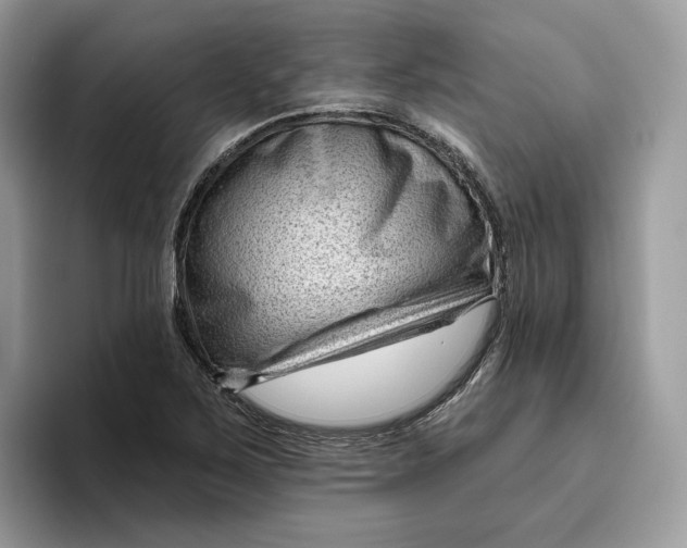 X0000095961267200802011115