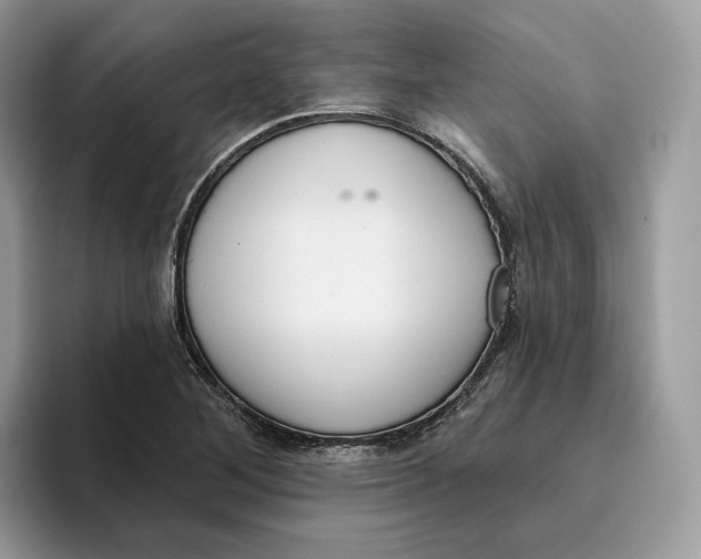 X0000095961268200802011115