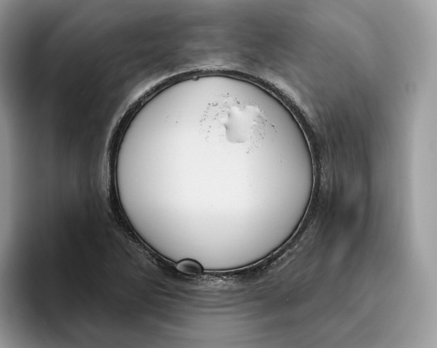 X0000095961270200802011115