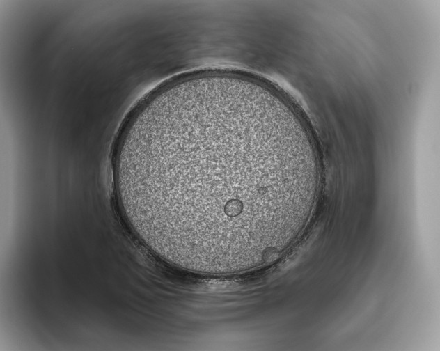 X0000095961271200802011115