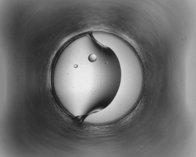 X0000095961272200802011115