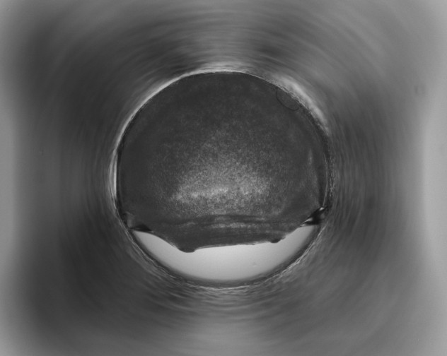 X0000095961276200802011114