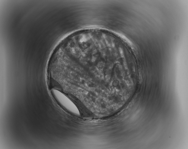 X0000095961279200802011114