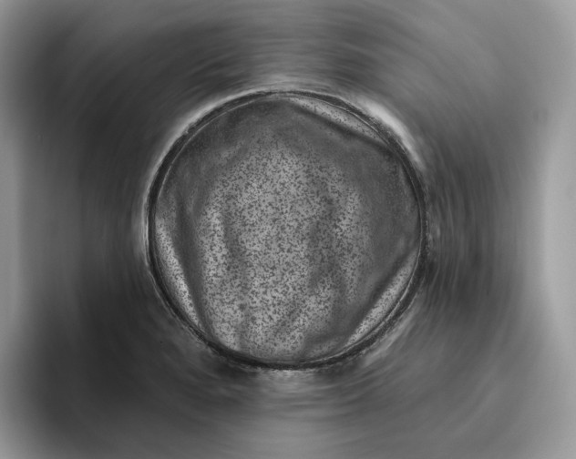 X0000095961280200802011114