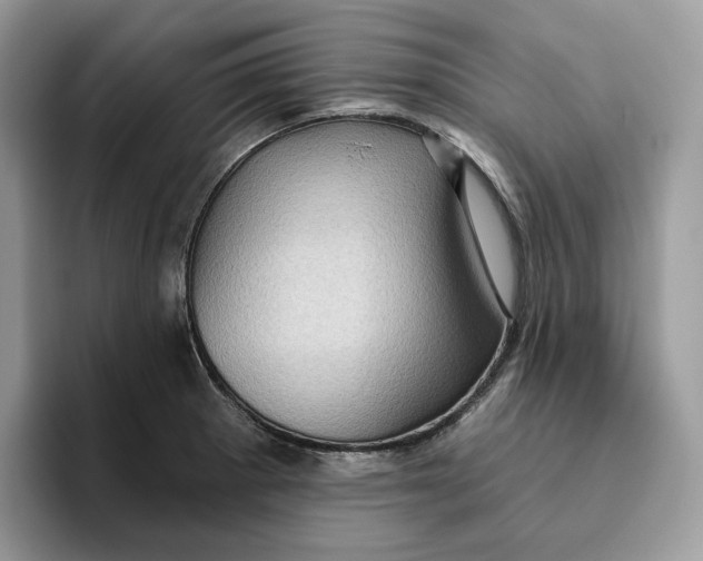 X0000095961281200802011114