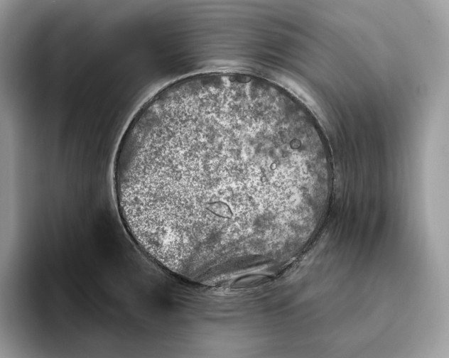 X0000095961283200802011114