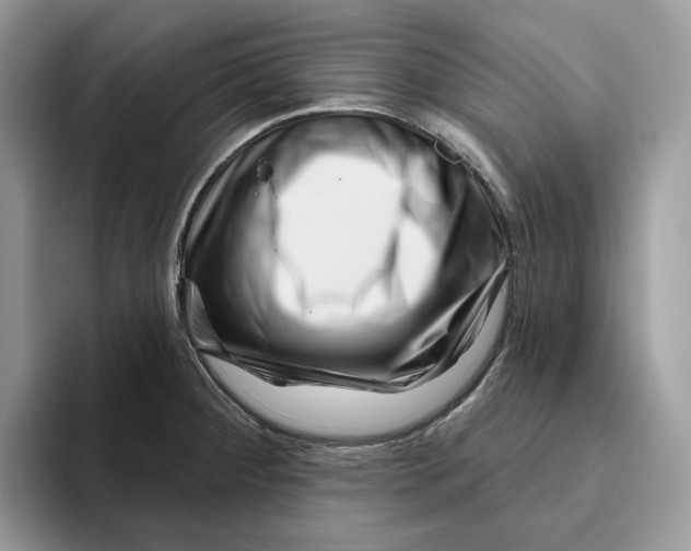 X0000095961284200802011114