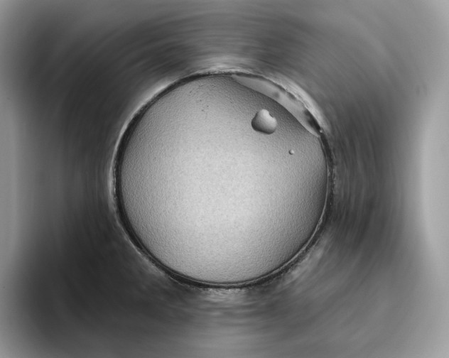 X0000095961285200802011114