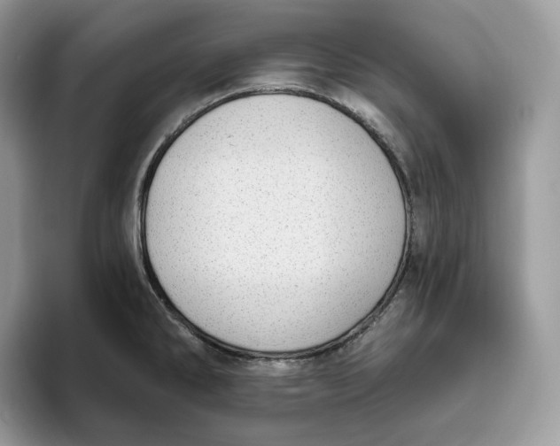 X0000095961286200802011114