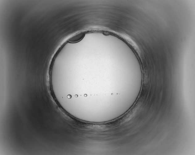 X0000095961287200802011114