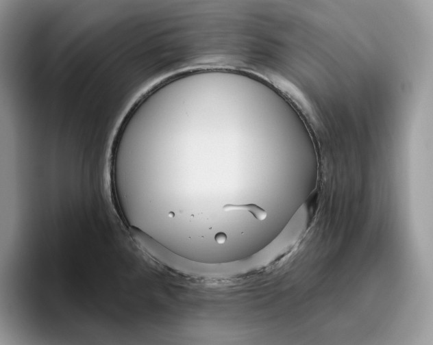 X0000095961288200802011114