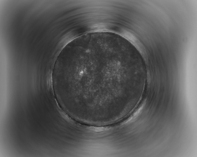 X0000095961289200802011114