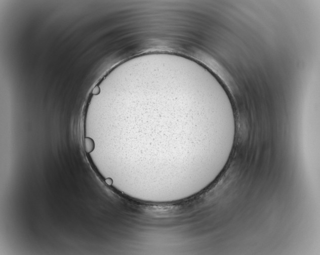 X0000095961290200802011114