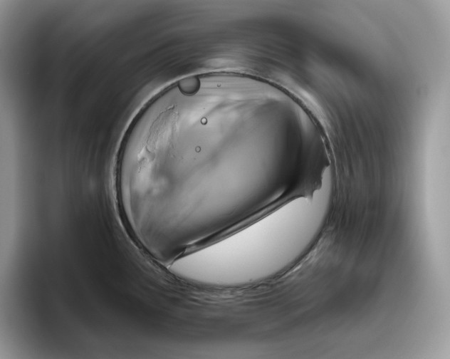 X0000095961291200802011114