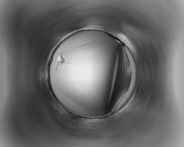 X0000095961292200802011114