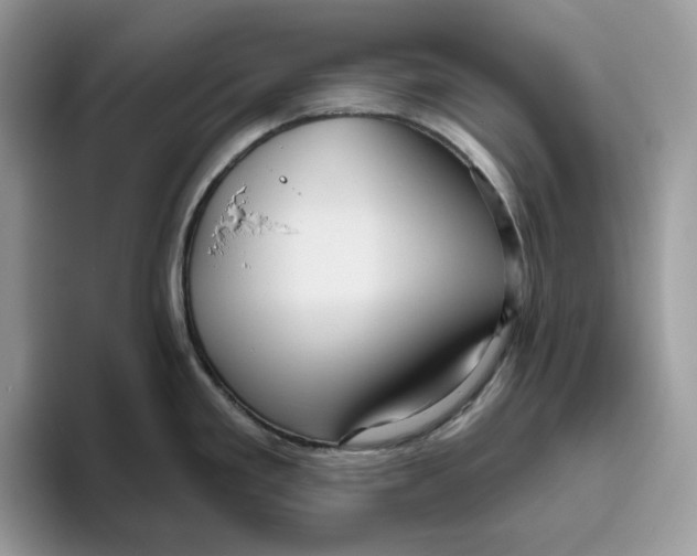 X0000095961293200802011114