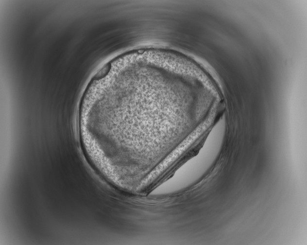 X0000095961295200802011114