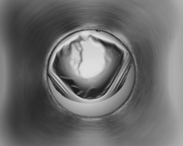 X0000095961296200802011114