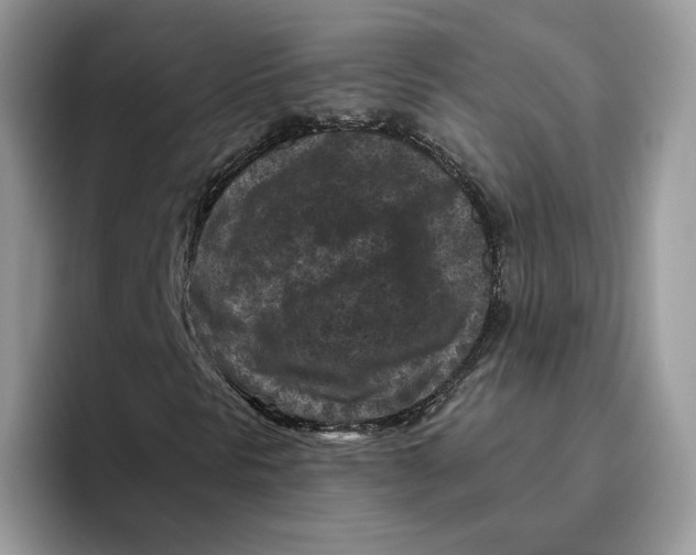 X0000095961297200802011114