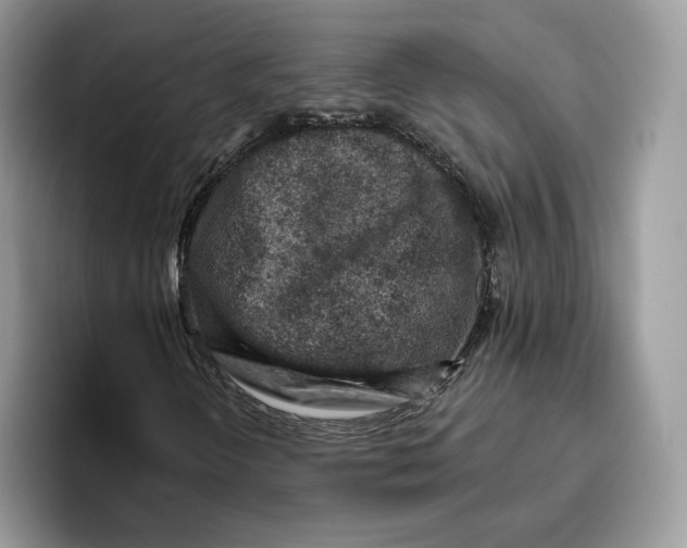 X0000095961298200802011114