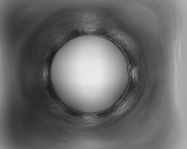 X0000095961299200802011114