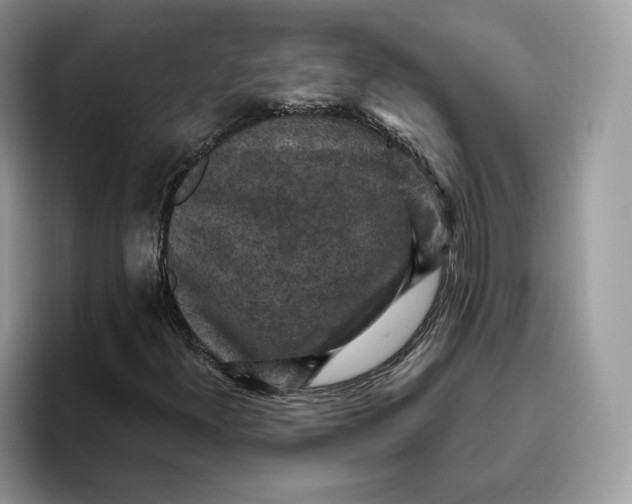 X0000095961300200802011114