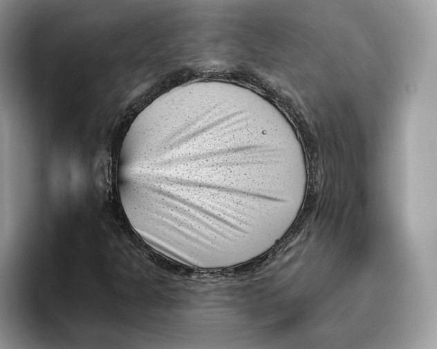 X0000095961301200802011114