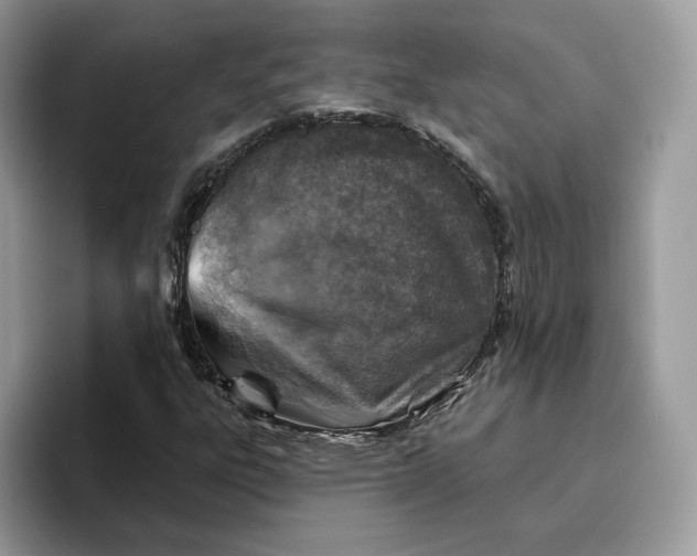 X0000095961303200802011114