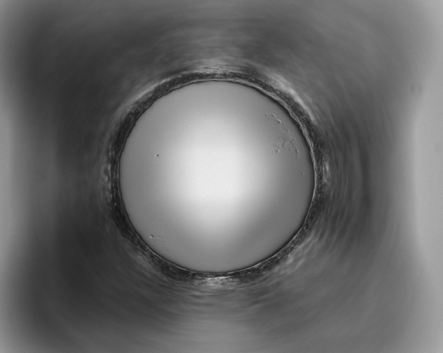 X0000095961304200802011114