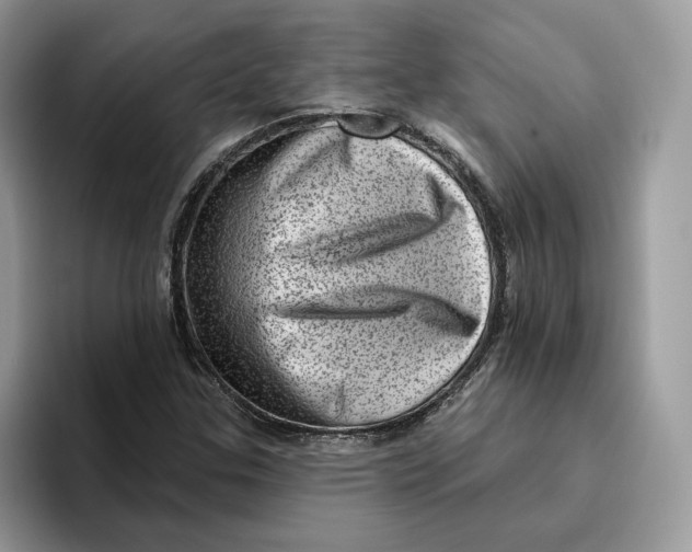 X0000095961307200802011114