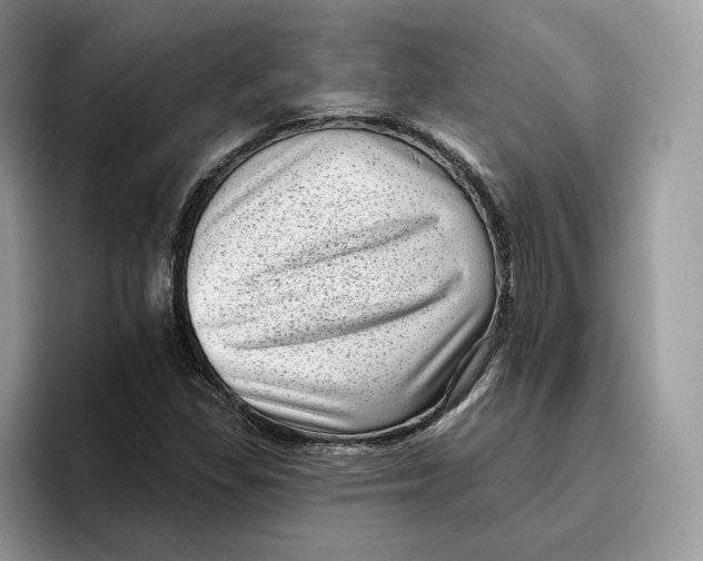 X0000095961309200802011114