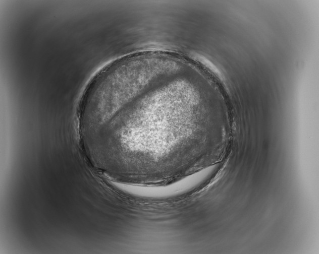 X0000095961310200802011114