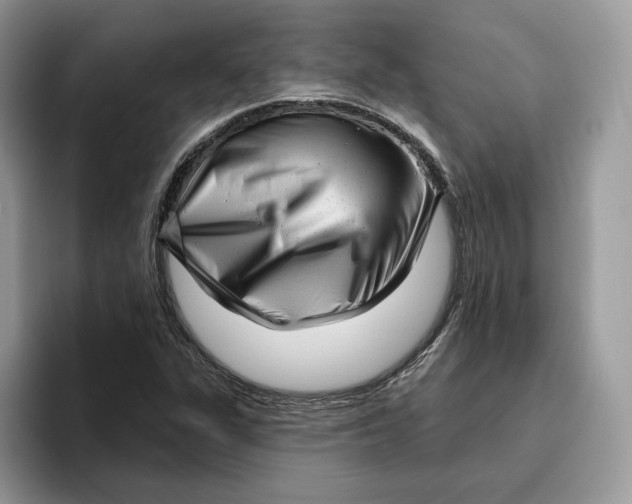 X0000095961311200802011114