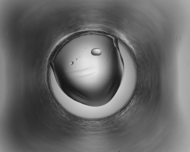 X0000095961312200802011114