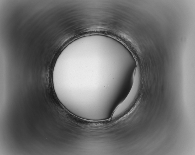 X0000095961313200802011114