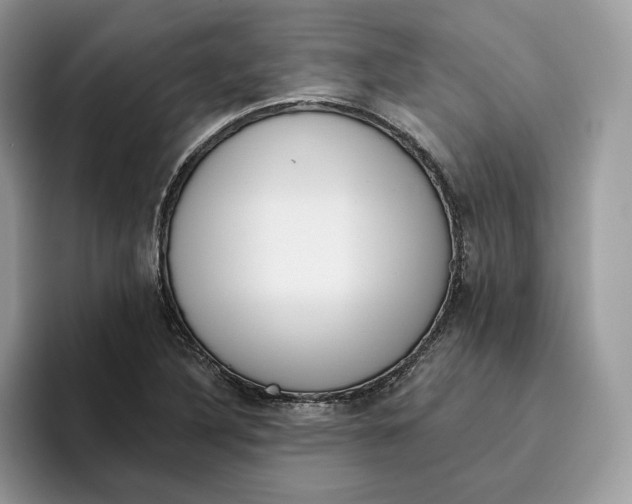 X0000095961316200802011114