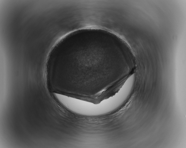 X0000095961319200802011114